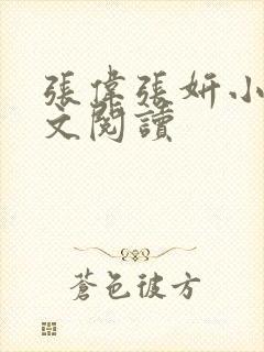 张伟张妍小说全文阅读封面