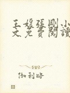 王媛张刚小说全文免费阅读