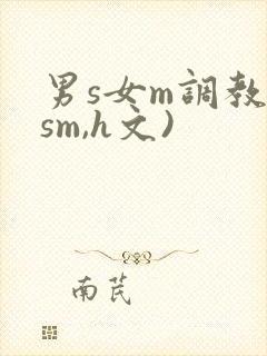 男s女m调教(sm,h文)