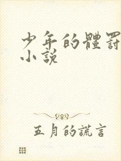 少年的体罚日常小说