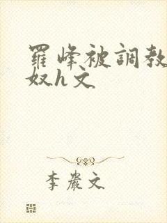 罗峰被调教成肉奴h文