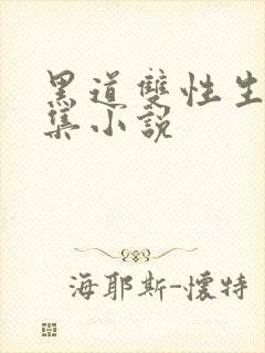 黑道双性生子合集小说