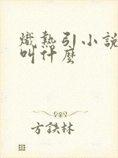 炽热引小说原著叫什么