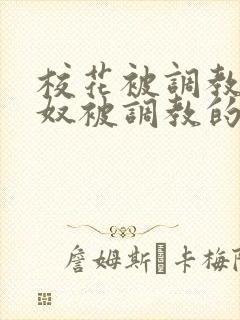 校花被调教成贱奴被调教的小说封面