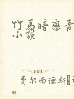 竹马暗恋青梅的小说封面