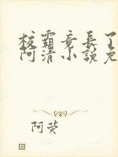 校霸竟长了个批阿清小说免费阅读最