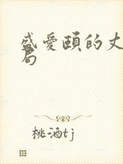 盛爱颐的丈夫结局封面