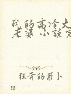 我的高冷大小姐老婆 小说完整封面