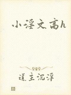 小淫文高h封面