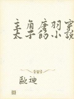 主角唐羽穿越成太子的小说封面