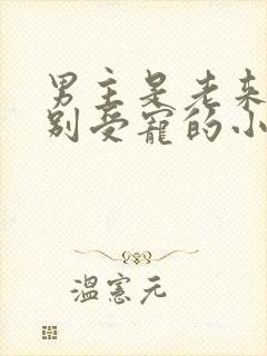 男主是老来子特别受宠的小说