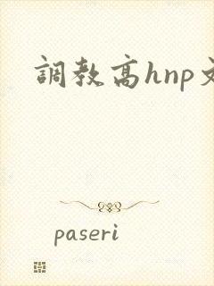 调教高hnp文
