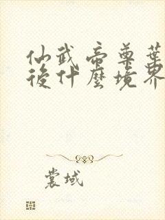 仙武帝尊叶辰最后什么境界