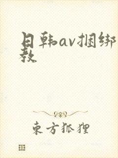 日韩av捆绑调教