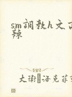 sm调教h文高辣