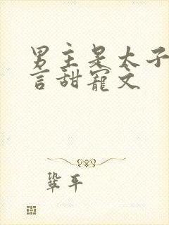 男主是太子的古言甜宠文