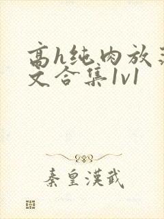 高h纯肉放荡h文合集1v1