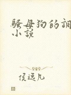 骚母狗的调教h小说