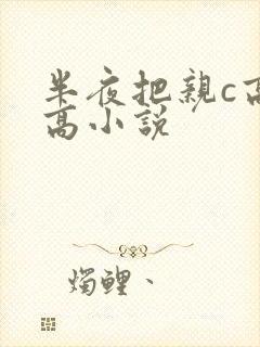 半夜把亲c高潮高小说