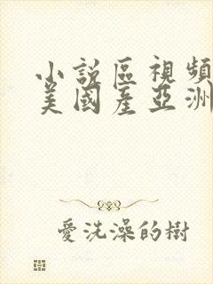 小说区视频区欧美国产亚洲