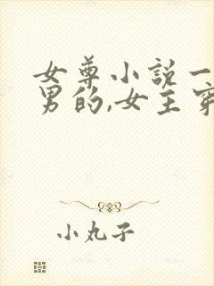 女尊小说一女多男的,女主穿越文完结