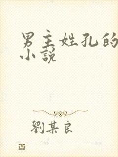 男主姓孔的现代小说封面