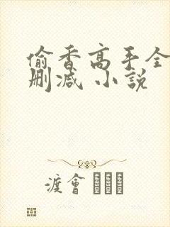 偷香高手全文无删减 小说封面