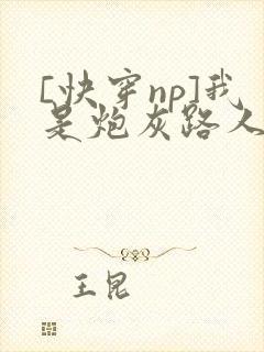 [快穿np]我是炮灰路人甲小说