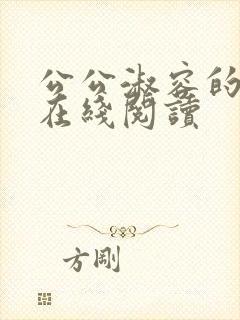 公公淑容的小说在线阅读