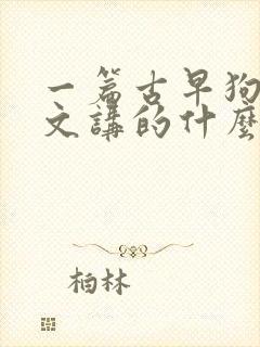 一篇古早狗血虐文讲的什么封面