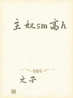 主奴sm高h