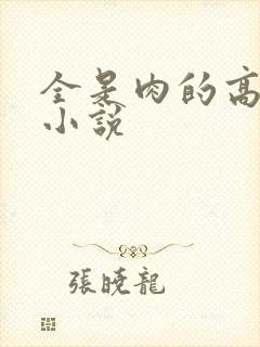 全是肉的高h文小说封面