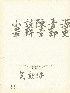 小说陈青源全文最新章节更新