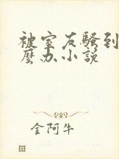 被室友骚到了怎么办小说封面