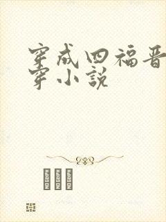 穿成四福晋的清穿小说