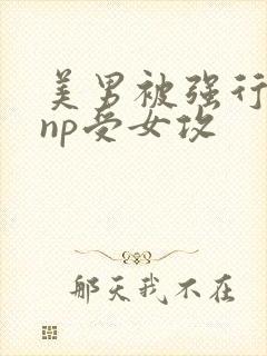 美男被强行糟蹋np受女攻