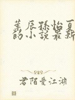 叶辰孙怡夏若雪的小说最新章节