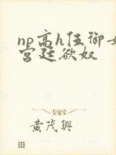 np高h伍御女宫廷欲奴