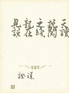 见龙之挽天倾小说在线阅读封面