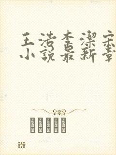 王浩李洁宋晓曼小说最新章节更新时间