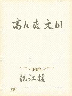 高h爽文bl