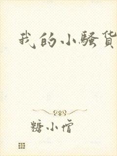我的小骚货封面