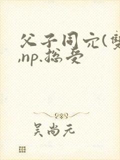 父子同穴(双性,np.总受