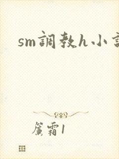 sm调教h小说