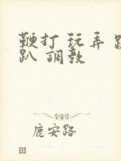 鞭打 玩弄 跪趴 调教