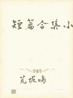 短篇合集小说h封面