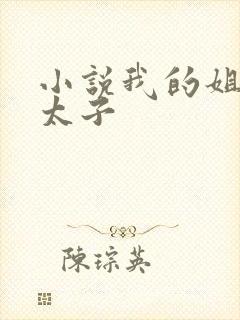 小说我的姐夫是太子