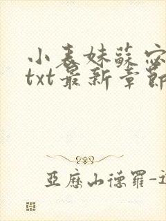 小表妹苏宓齐勇txt最新章节更新时间封面