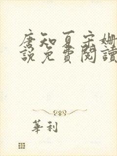 唐知夏宋姗的小说免费阅读封面