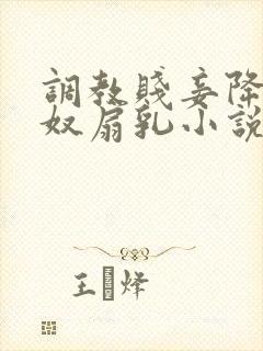 调教贱妾降为乳奴扇乳小说